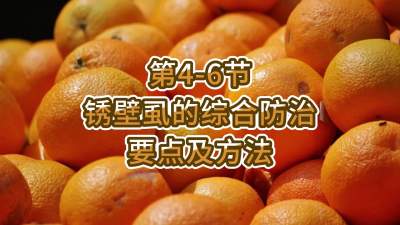 第4-6节-锈壁虱的综合防治要点及方法