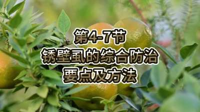 第4-7节-锈壁虱的综合防治要点及方法
