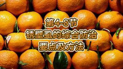 第4-8节-锈壁虱的综合防治要点及方法