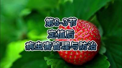 第8-3节-定植后的病虫害管理与防治