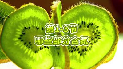 第1-3节-哪些部分含氮