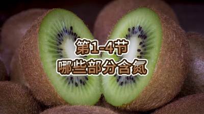 第1-4节-哪些部分含氮