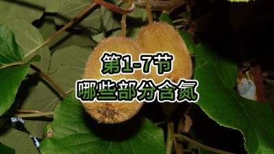 第1-7节-哪些部分含氮