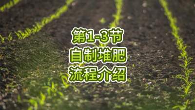 第1-3节-自制堆肥的流程介绍