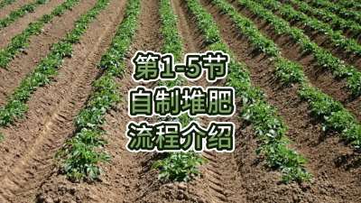 第1-5节-自制堆肥的流程介绍
