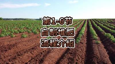 第1-6节-自制堆肥的流程介绍