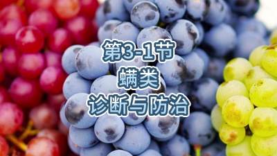 第3-1节-螨类的诊断与防治