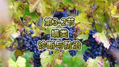 第3-2节-螨类的诊断与防治