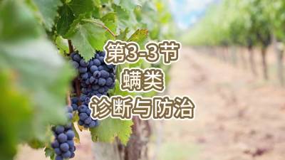 第3-3节-螨类的诊断与防治