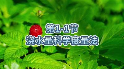 第1-1节-浇水量科学度量法