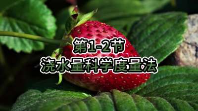 第1-2节-浇水量科学度量法