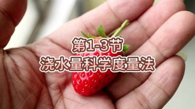 第1-3节-浇水量科学度量法