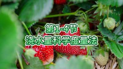 第1-4节-浇水量科学度量法