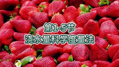 第1-5节-浇水量科学度量法