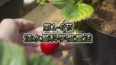 第1-6节-浇水量科学度量法