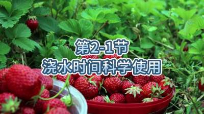 第2-1节-浇水时间科学使用