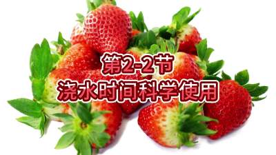 第2-2节-浇水时间科学使用