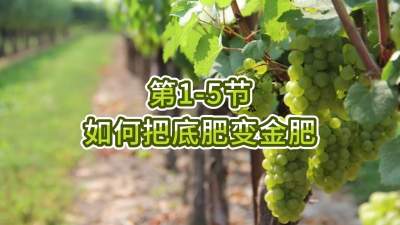 第1-5节-如何把底肥变金肥