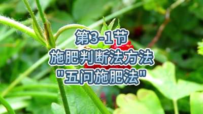 第3-1节-施肥判断法方法&ldquo;五问施肥法&rdquo;