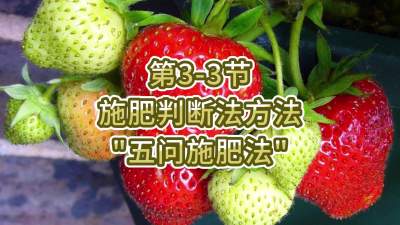 第3-3节-施肥判断法方法&ldquo;五问施肥法&rdquo;