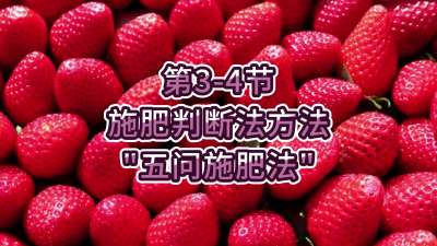 第3-4节-施肥判断法方法&ldquo;五问施肥法&rdquo;