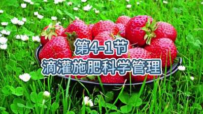 第4-1节-滴灌施肥科学管理