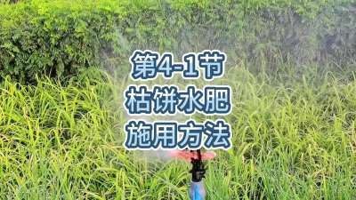 第4-1节-枯饼水肥的施用方法