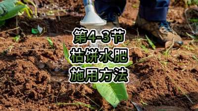 第4-3节-枯饼水肥的施用方法