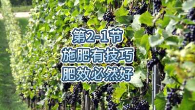 第2-1节-施肥有技巧，肥效必然好