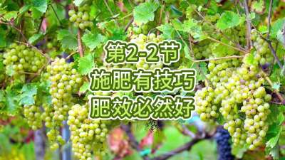 第2-2节-施肥有技巧，肥效必然好