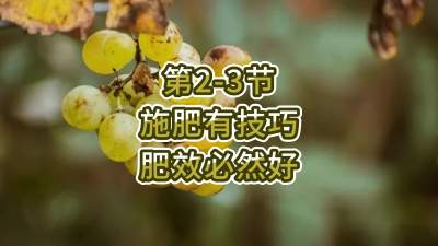 第2-3节-施肥有技巧，肥效必然好