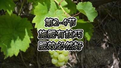 第2-4节-施肥有技巧，肥效必然好