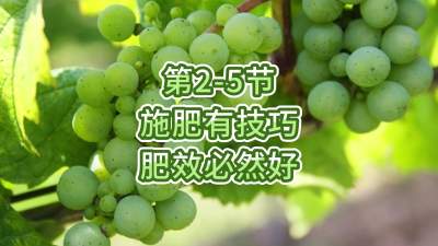第2-5节-施肥有技巧，肥效必然好
