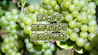 第2-6节-施肥有技巧，肥效必然好