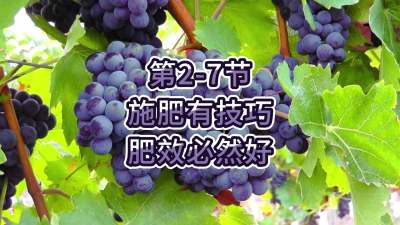 第2-7节-施肥有技巧，肥效必然好