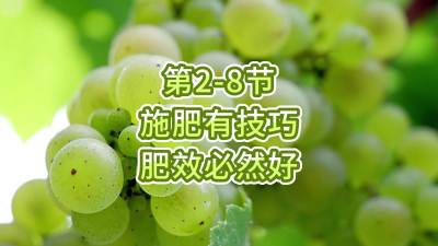 第2-8节-施肥有技巧，肥效必然好