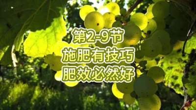 第2-9节-施肥有技巧，肥效必然好