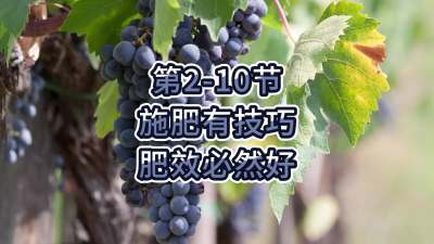 第2-10节-施肥有技巧，肥效必然好