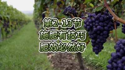 第2-13节-施肥有技巧，肥效必然好
