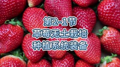 第2-1节-草莓无土栽培的种植系统装备