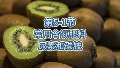 第5-1节-常用含氮肥料&mdash;&mdash;尿素和碳铵