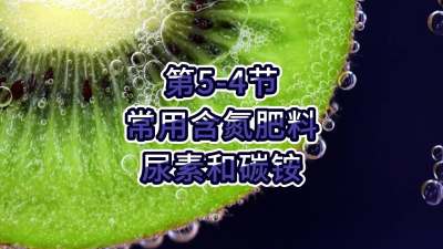 第5-4节-常用含氮肥料&mdash;&mdash;尿素和碳铵