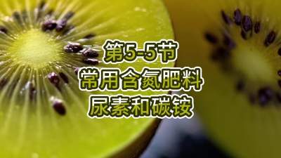 第5-5节-常用含氮肥料&mdash;&mdash;尿素和碳铵