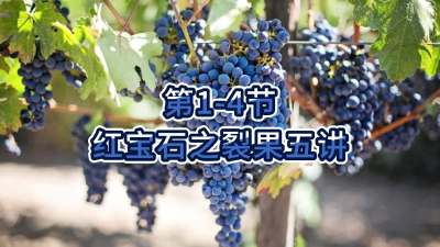 第1-4节-红宝石之裂果五讲