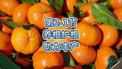 第2-1节-养根护根，助力丰产