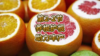 第2-2节-养根护根，助力丰产