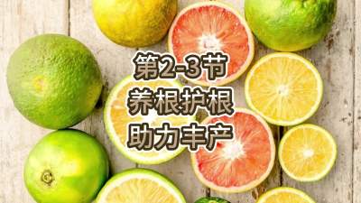 第2-3节-养根护根，助力丰产