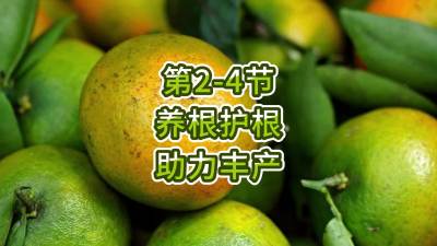 第2-4节-养根护根，助力丰产