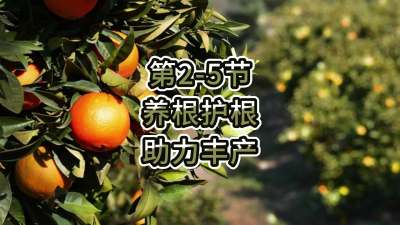 第2-5节-养根护根，助力丰产