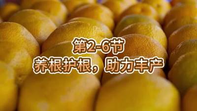 第2-6节-养根护根，助力丰产